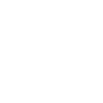 tokopedia